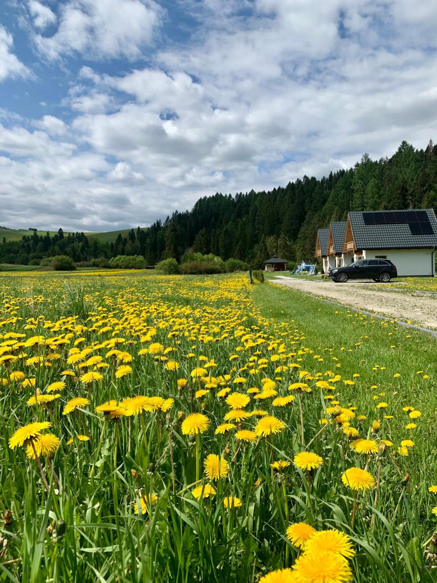 Vila Dobre Miejsce Niedzica Exteriér fotografie