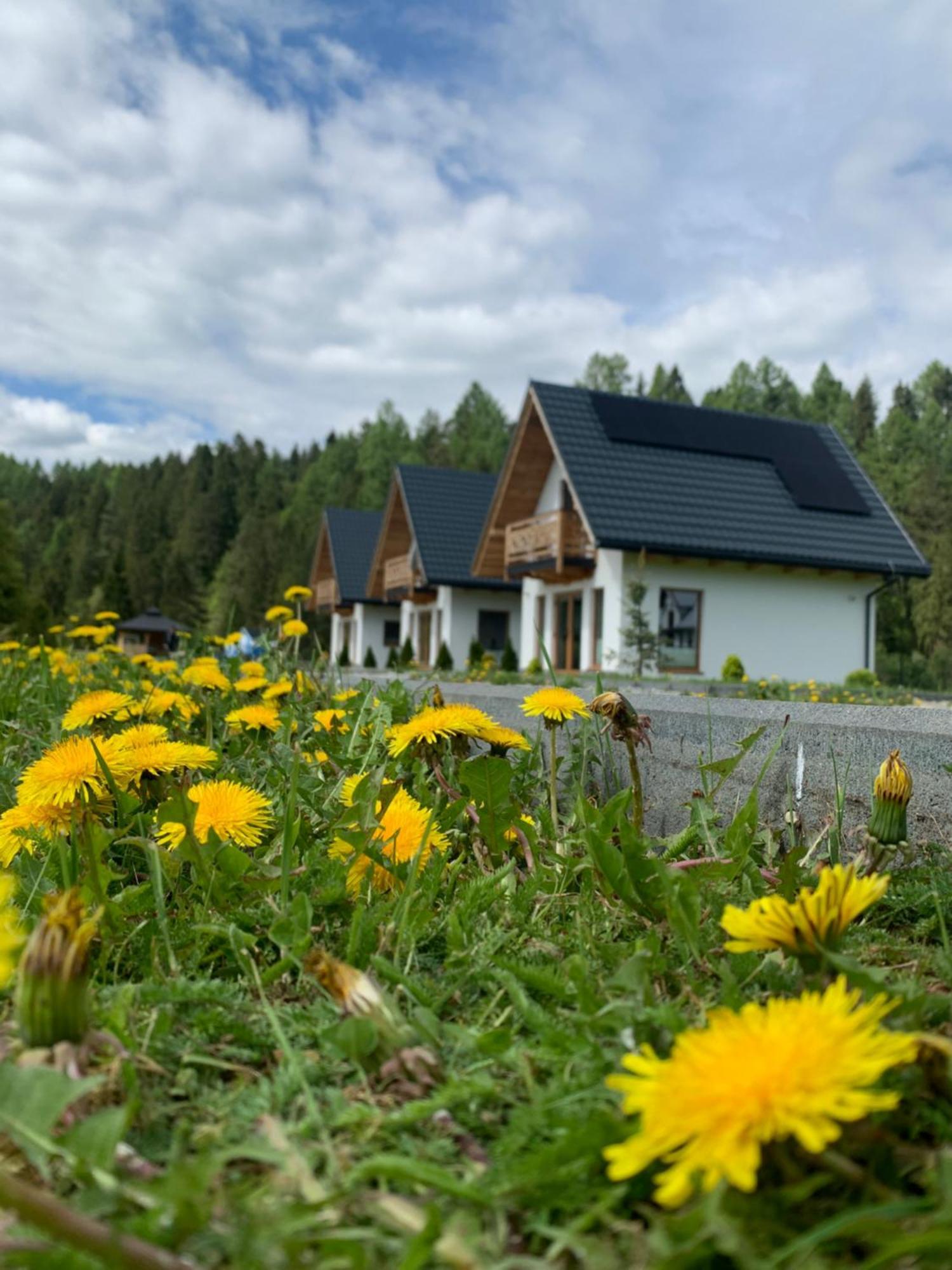 Vila Dobre Miejsce Niedzica Exteriér fotografie