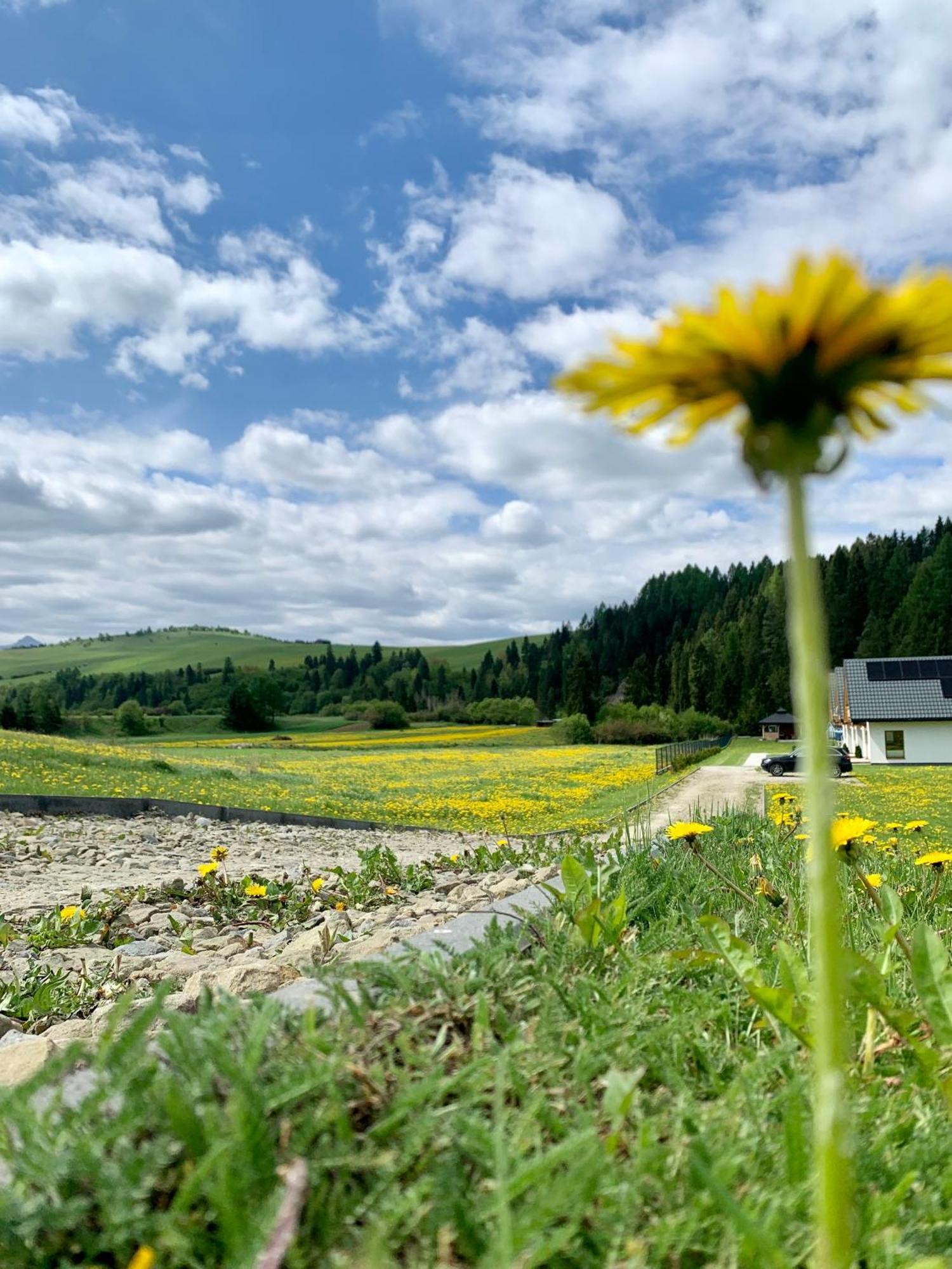 Vila Dobre Miejsce Niedzica Exteriér fotografie